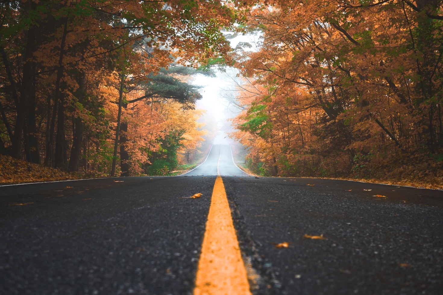 Reflections on Our Most Memorable Experiences